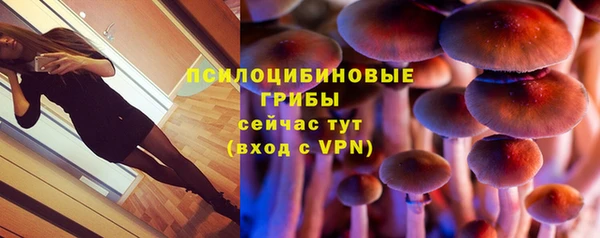 ПСИЛОЦИБИНОВЫЕ ГРИБЫ Гусиноозёрск