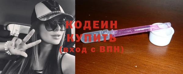 шишки Гусев