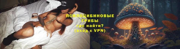 шишки Гусев