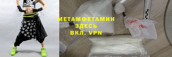 шишки Гусев
