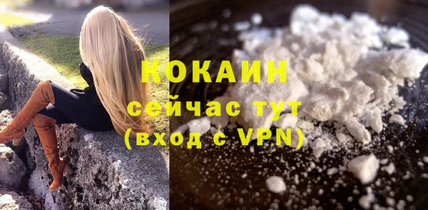ПСИЛОЦИБИНОВЫЕ ГРИБЫ Гусиноозёрск