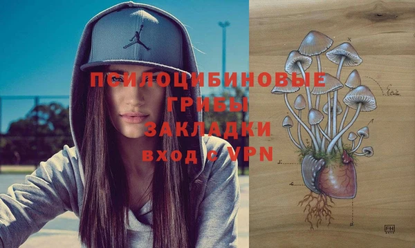 шишки Гусев