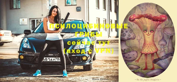 шишки Гусев