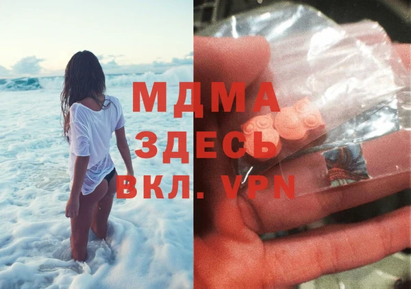 шишки Гусев