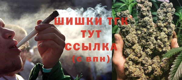 шишки Гусев