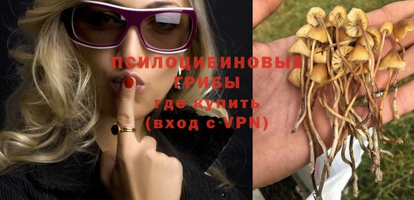 шишки Гусев
