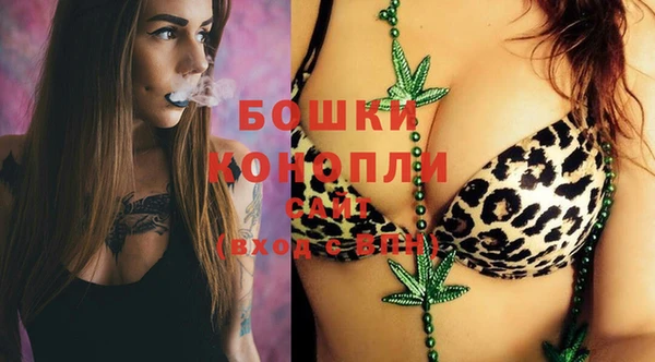 шишки Гусев