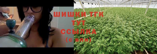 ПСИЛОЦИБИНОВЫЕ ГРИБЫ Гусиноозёрск