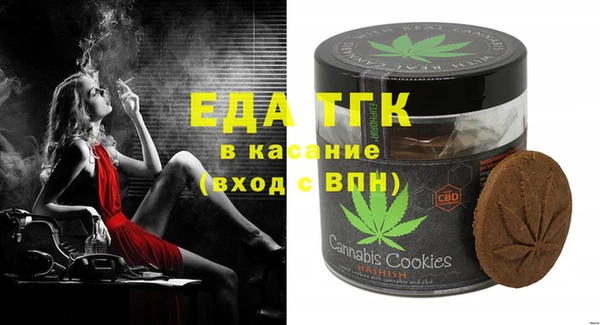 шишки Гусев