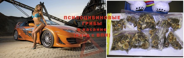 ПСИЛОЦИБИНОВЫЕ ГРИБЫ Гусиноозёрск
