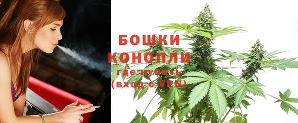 шишки Гусев