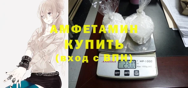 шишки Гусев